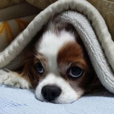 のぐち