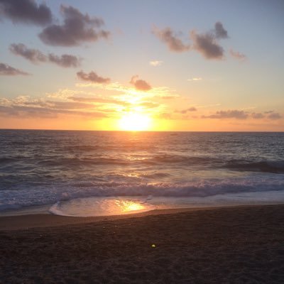 maloise16's profile picture. Mammy, Mamo, Wife and retired from paid employment .