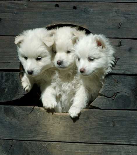 AKIFJ2's profile picture. FJの(ry