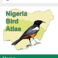 Nigeria Bird Atlas Project(@BirdNigeria) 's Twitter Profile Photo