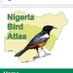 Nigeria Bird Atlas Project (@BirdNigeria) Twitter profile photo