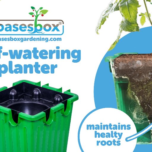Oasesbox Grow, Sow, Easy system is an ingenious product that creates healthy and beautiful plants and produces bumper crops.