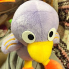 kojinyari's profile picture. 自然観察好きの自称ネイチャリスト。 撮影機材：Olympus E-M1mark3/TG-6/iphone12pro MAX、フォロー、リツイートお気軽にどうぞ。 イラストアカ@kojinyari_pic