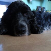 Emma 🩵 (@subspeaker) 's Twitter Profile