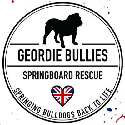 GBSR is a UK based, breed specific non-profit charity dedicated to the rescuing, rehoming & rehabilitating Bulldogs.