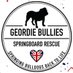 Geordie Bullies Springboard (@gbspringboard) Twitter profile photo Geordie Bullies Springboard (@gbspringboard) Twitter profile photo