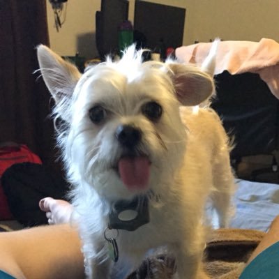 ianstover1's profile picture. I’m like, straight up not having a time bro.