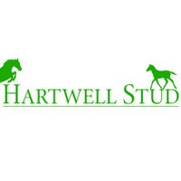 Hartwellstud (@hartwellstud) 's Twitter Profile
