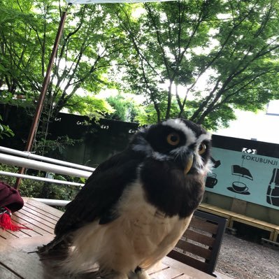 phantasmDAZE's profile picture. 関東圏で基本ソロキャンプしてる、初心者🔰キャンパーです 他にもカメラと旅行、ラーメンが好きです🖤 #黒ノ巣会