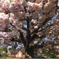 My Fabry Disease (@myfabrydisease) 's Twitter Profile Photo