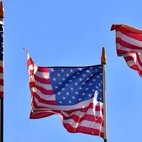 LL (@patriotlea) 's Twitter Profile