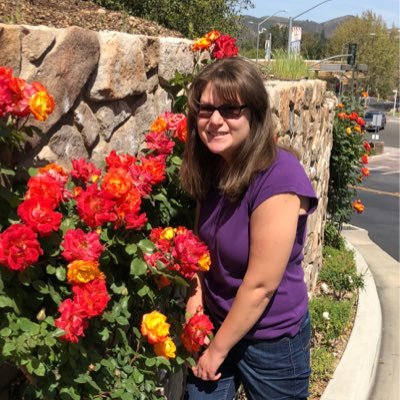 SBachelis's profile picture. 