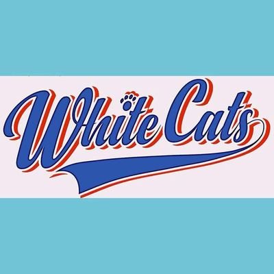 「杉並ホワイトキャッツ」杉並区に2018年3月に発足した中学生女子軟式野球チームです。一緒に週末 野球を楽しみませんか！メンバー随時大募集です。