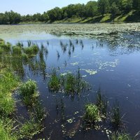 Wildlife and Landscape Science (@ecccwildlifesci) 's Twitter Profile