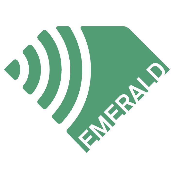 EMERALD is the coherent action of leading European engineering groups  involved in electromagnetic (EM) technology for medical imaging. #MSCA