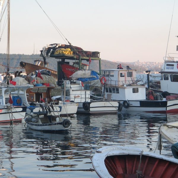 genç, inançlı, Osmanlı torunu, sevdalı, zonguldak aşığı