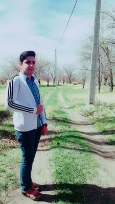 لیگها و تیمها لیگها و تیمها لیگها و تیمها لیگها و تیمها احزاب پل و سیاستمدارها