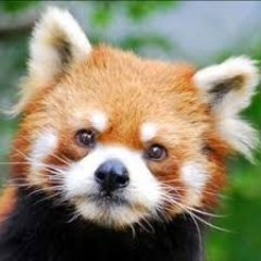 Digital Asset Analyst 🔎 In crypto since 2017 || Previous Experiences in ER and AM 📈
Find my latest research notes on https://t.co/R6a4s4pjjj