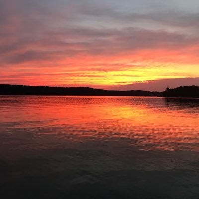 NickTodoroff's profile picture. 