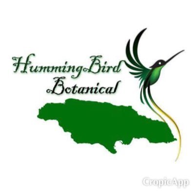 Hummingbird Botanical is a 100% Herbal Company