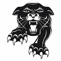 Jr Panthers Football(@FZNJrPanthersFB) 's Twitter Profile Photo