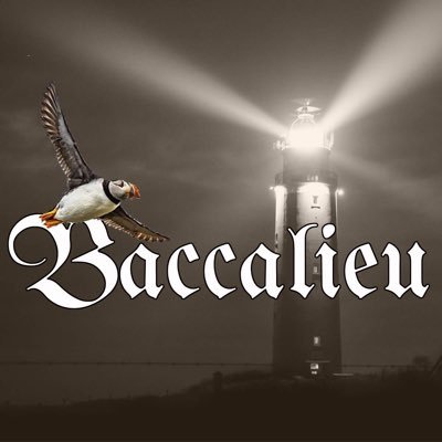 Born along the rugged shores of Newfoundland,Baccalieu is a 3 piece band with a powerful sound. Consisting of Corey Reynolds, Adam Squires & Brett Vey!