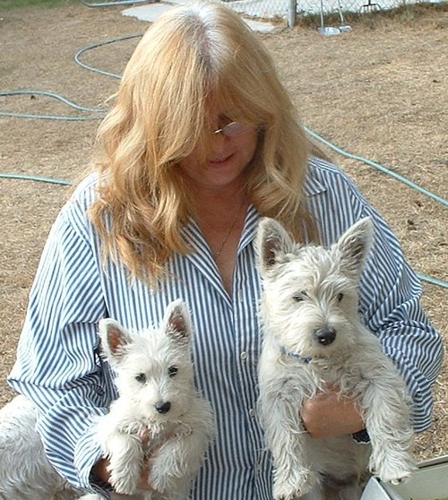 I Love the Lord. I drive shuttle bus & Raise and Breed West Highland White Terriers. Love people, animals and life. Own a small farm.