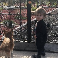 L. Magliaro (@limagsy) 's Twitter Profile