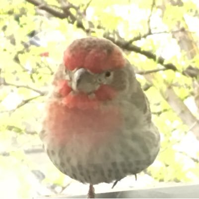 firsttime1993's profile picture. 