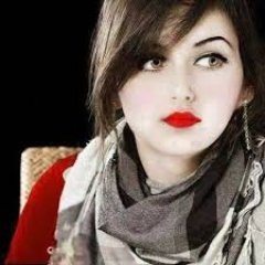 ln_sll's profile picture. They call me The Mailman.