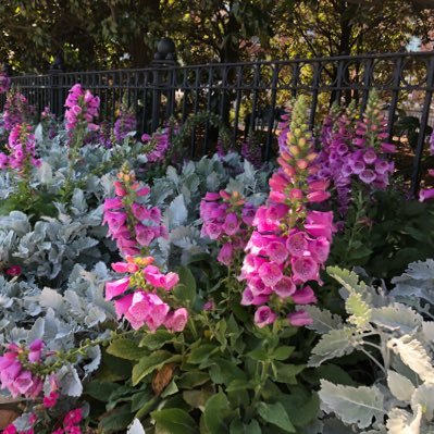 haikuvents's profile picture. Thoughts and observations.