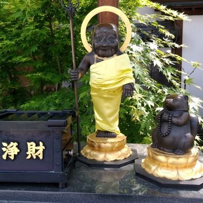 雪原のトビウオ Ayanesakura3 Twitter 雪原のトビウオ Ayanesakura3 Twitter