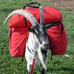 PMattWilson's profile picture. Ex bag collector. Just one bag left $LG