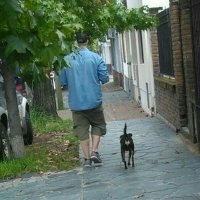 Miguel Medina 🐾 (@migueanimal) 's Twitter Profile Photo Miguel Medina 🐾 (@migueanimal) 's Twitter Profile Photo