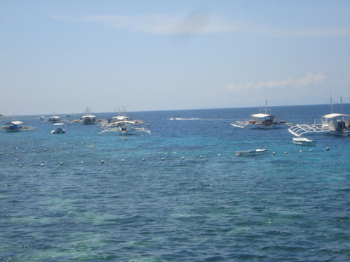 JahzR's profile picture. 