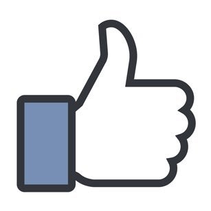 We offer various types of services for businesses on social media some of which no other company can do !