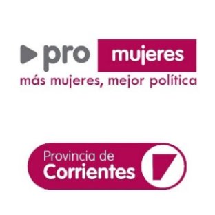 Organización Política