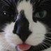 Shawna Fetterman, RPSGT (@unfettered1980) Twitter profile photo Shawna Fetterman, RPSGT (@unfettered1980) Twitter profile photo