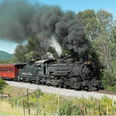 TmBuget's profile picture. Selling imaginary trains at discount price! Invest today!