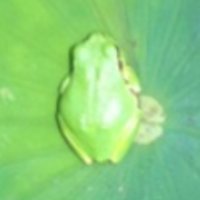 Ｊ (@jr1ssp) Twitter profile photo