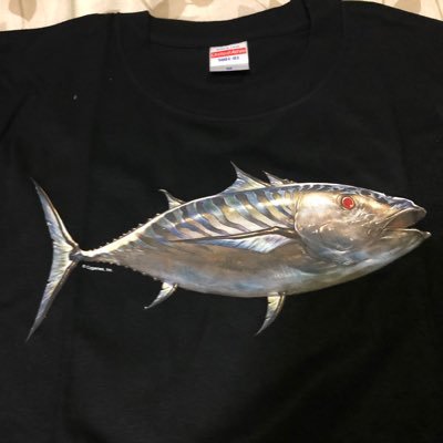 にこぽーさんのプロフィール画像