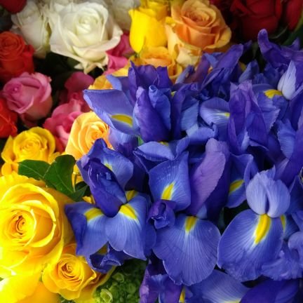 We can create anything with flowers. Tuxedo rentals from 2 companies.
Kandy Bar Bokays for any occasion.
Gifts and home decor and much more.
308-432-6971