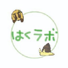 【はくラボ】認定NPO法人大阪自然史センター🌿さんのプロフィール画像