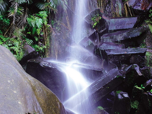 ecodaiamondo's profile picture. 好きなもの＝自由、嫌いなもの＝人
今一番はまっているもの＝アリエッティをサッカー選手の実況のように、雄叫ぶこと。