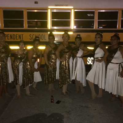 Official page of Holmes HS/BCHS Colorguard