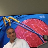 Brunolf Lagerveld (@brunlagerveld) 's Twitter Profile Photo