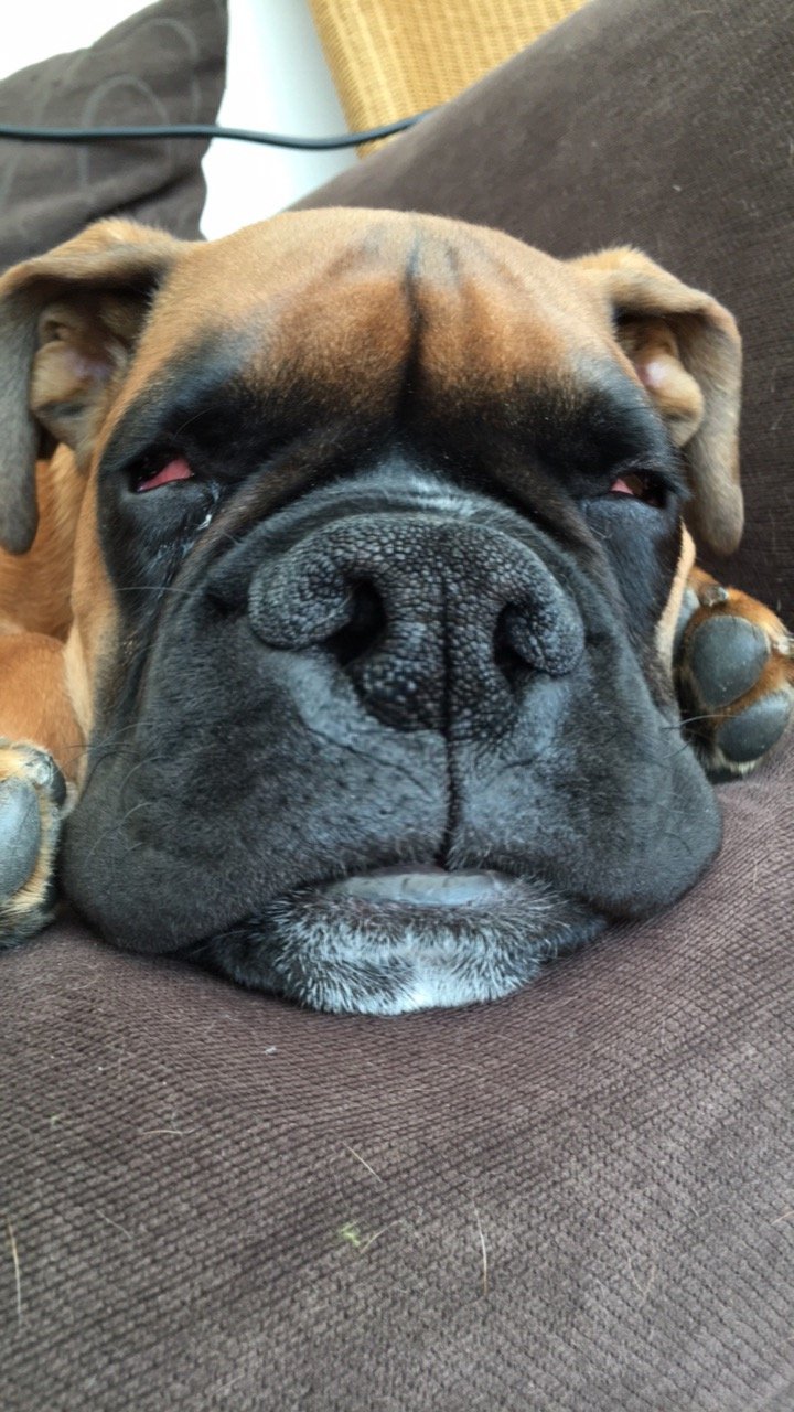 krypto_be's profile picture. 