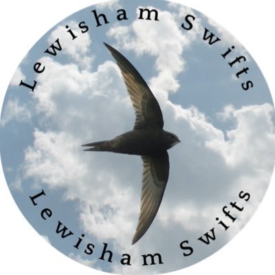 Raising awareness, protecting and enjoying swifts in LB Lewisham