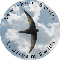 Lewisham Swifts (@lewishamswifts) 's Twitter Profile