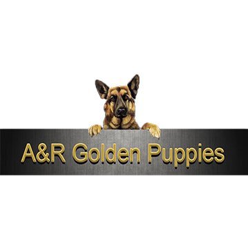 ARGoldenPuppies's profile picture. Quality work line, show line German Shepherds and American Pitbull Terrier sales! 1-800-921-0196 | https://t.co/Nb6Jw2oX6P